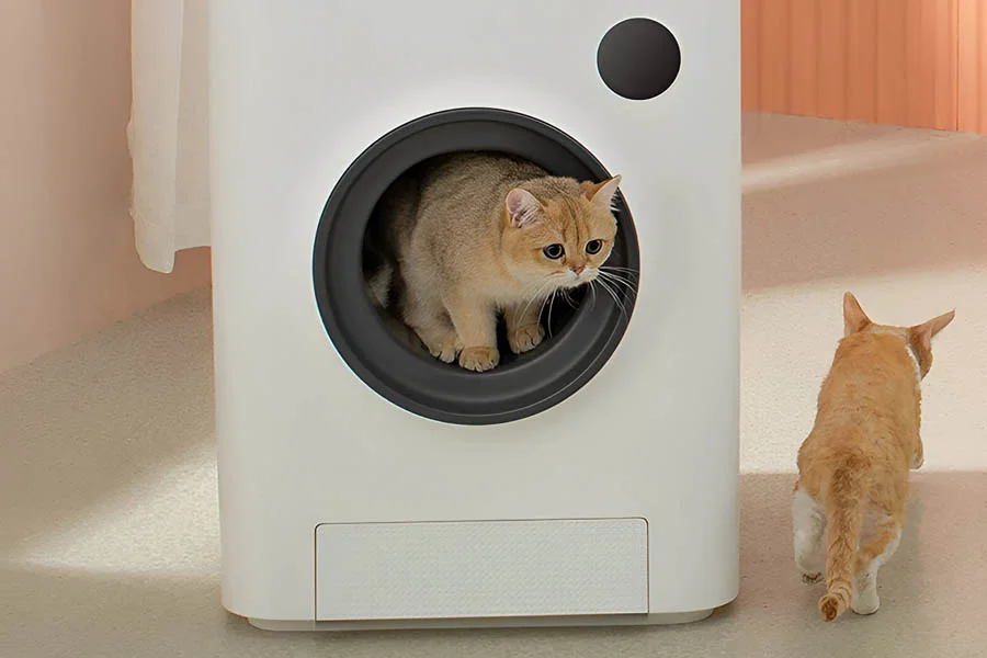 scoopfree automatic litter box